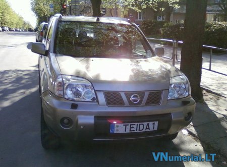 TEIDA1