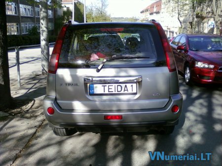 TEIDA1