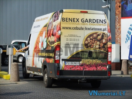 P2BENEX