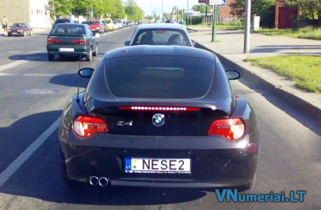 NESE2