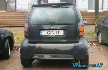 GINT0