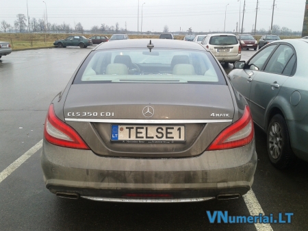 TELSE1