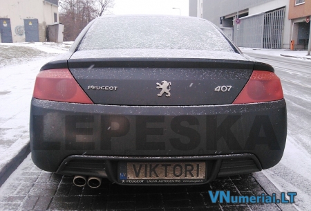 VIKTORI