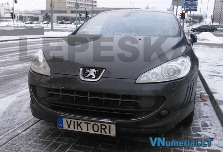 VIKTORI
