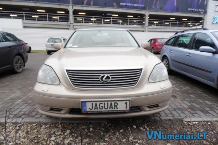 JAGUAR1