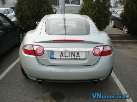 ALINA