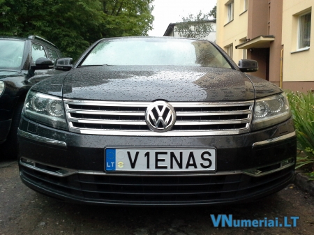 V1ENAS