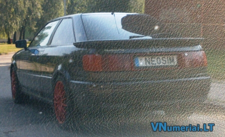 NE0SIM