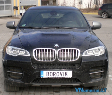 BOROVIK