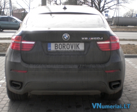 BOROVIK