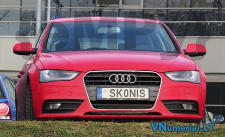 SK0NIS