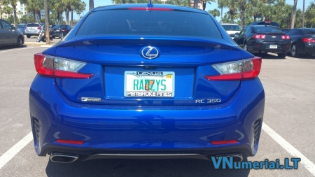 RADZYS