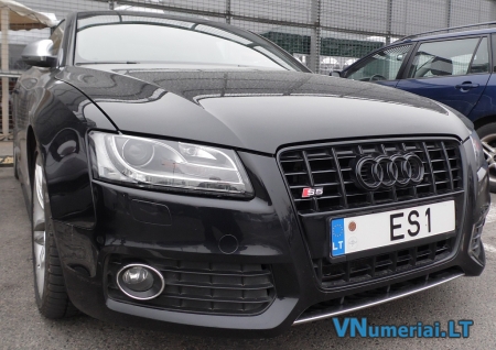 ES1