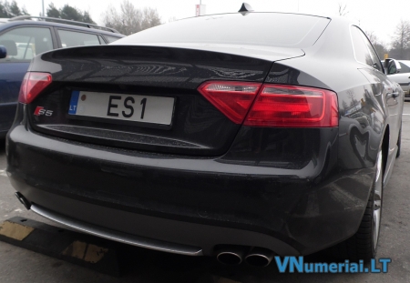 ES1