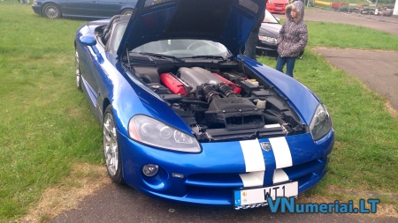 WT1