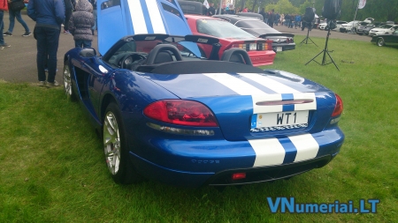 WT1