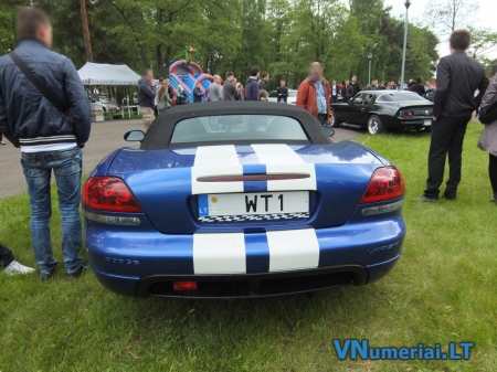 WT1