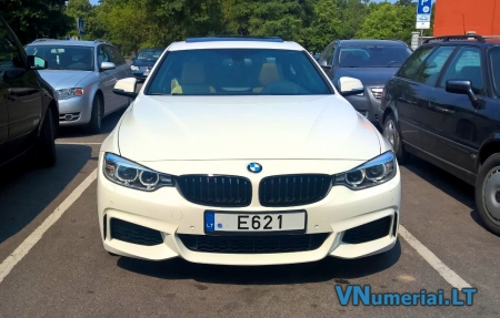 E621