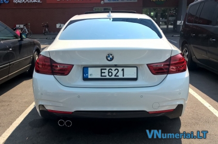 E621