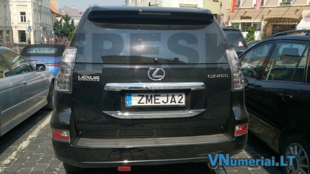 ZMEJA2