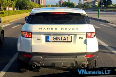 GINTA1