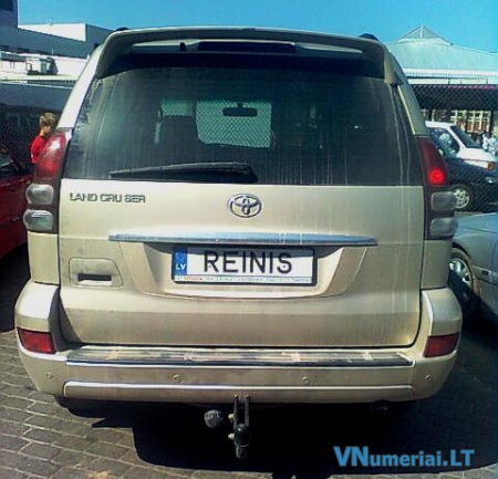 REINIS