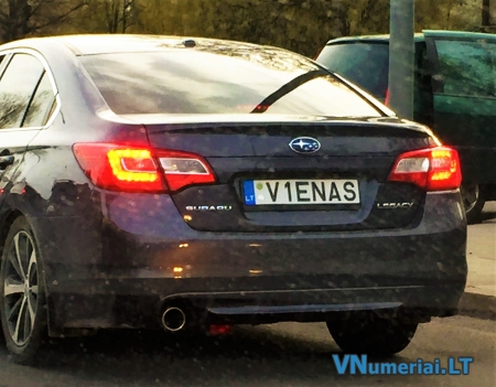 V1ENAS