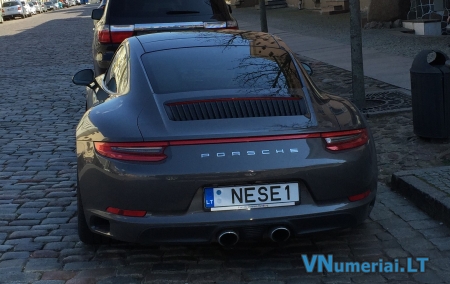 NESE1
