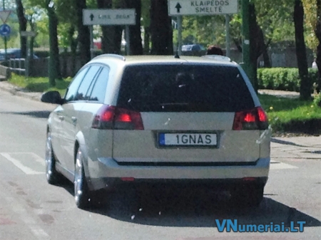 1GNAS