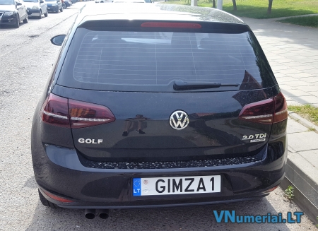 GIMZA1