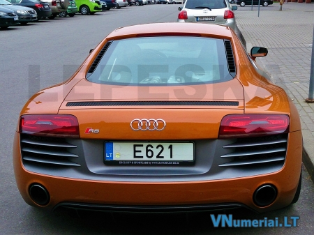 E621