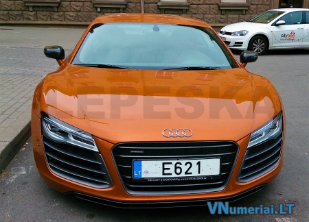 E621