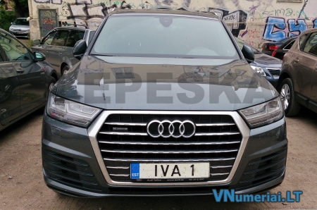 IVA1
