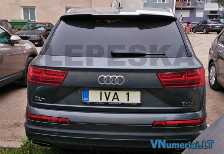 IVA1