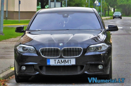 TAMM1