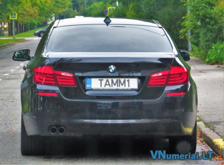 TAMM1