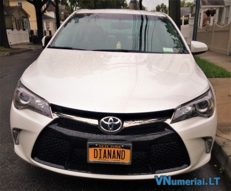 DIANAND