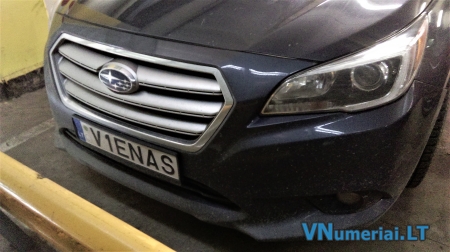 V1ENAS