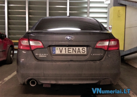 V1ENAS