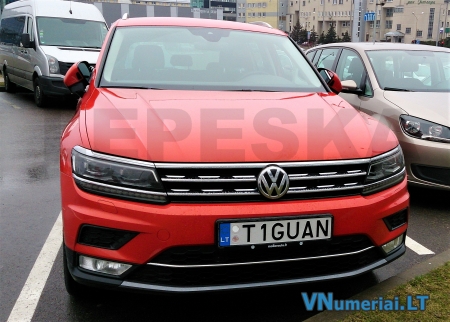 T1GUAN