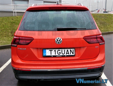 T1GUAN