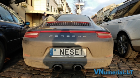 NESE1