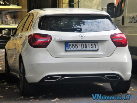 555DAISY