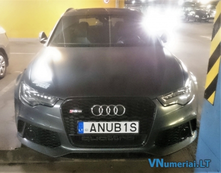 ANUB1S