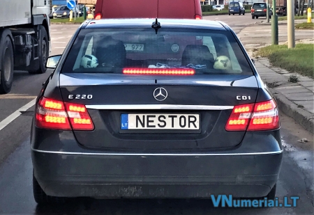 NEST0R