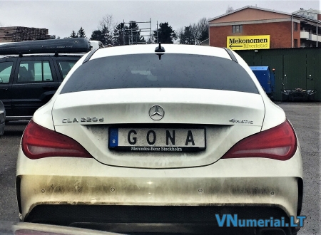 GONA