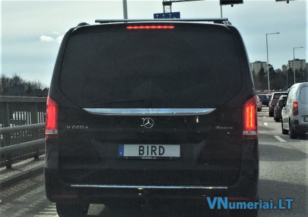 BIRD