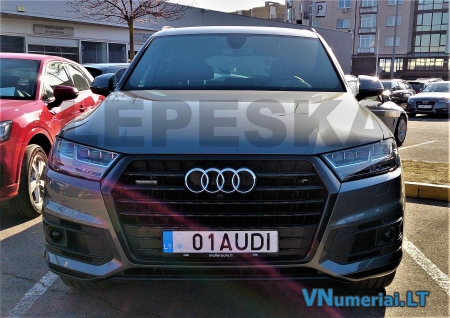 01AUDI