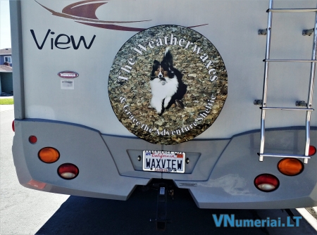 WAXVIEW