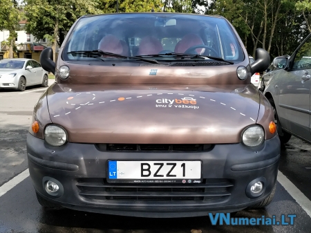BZZ1